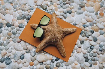 A funny brown starfish (celebrity) in sunglasses lies on a towel on the seashells and is tanning....