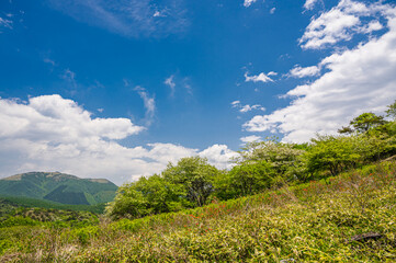 新緑の高ボッチから見る鉢伏山