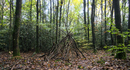 Child cabin in the woods