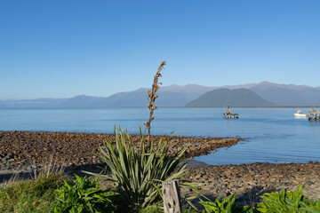 View across Jackson Bay to surrounding hills