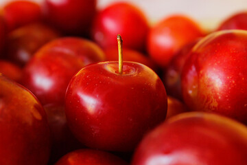 Close up of plum fruit kept in the bowl