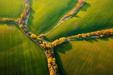 Fotobehang Bird's eye view of abstraction agricultural area and green wavy fields in sunny day. © Leonid Tit