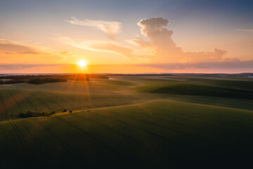 Perfect agricultural area and green wavy fields at sunset. Aerial photography.