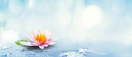Lotus on water and soft blur bokeh reflection on panorama pastel dream color background, White lily...