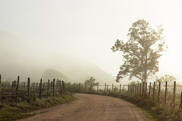 Fototapeta na wymiar Winding dirt road during foggy morning in countryside in countryside