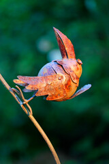 close up of an rusty bird