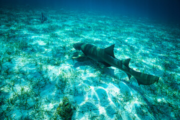 ominous but friendly