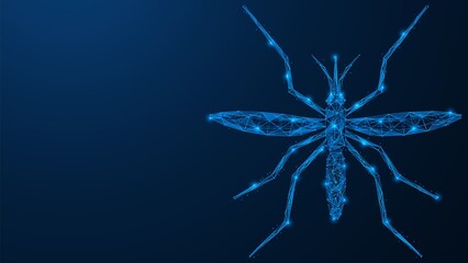 A mosquito, a flying blood-sucking insect. Polygonal design of lines and dots. Blue background.