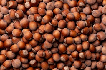 A lot of brown hazelnuts in the shell, top view. Autumn harvest, healthy food.