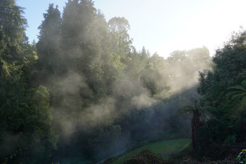 A steaming thermal river in the Taupo region of New Zealand