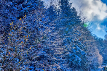 Natural landscape during cold winter day.