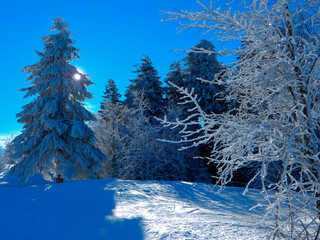 Paysages enneigés, en montagne. durant la période hivernale. Vosges, france. 