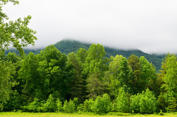 Cades Cove in Great Smoky Mountains, TN, USA in early springtime. Clouds settled on the mountaintops.