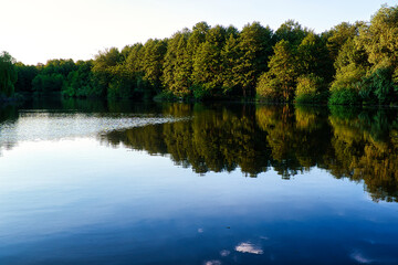 Seelandschaft - See - Wasser - Wald - A small lake reflecting the beautiful nature of the forest -...