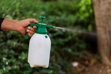 Hand holding watering can and sprayign to young plant in garden. Manual sprayer hand pressure pump....