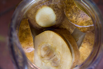 The Jagua, is a fruit from tropical America that abounds throughout the island of Hispaniola, it also has a strange characteristic: it dries, but does not rot. The root of the jagua has a purgative an