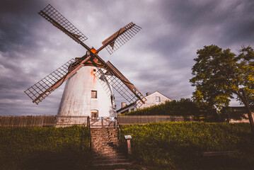 Fototapeta premium Wanderings through Austrian and Hungarian nature