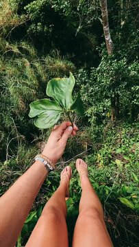 Person holding a Green Leaf, Green Leaf, Point of View, POV, Legs, Legs Swinging, Person IN the Jungle,