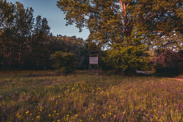 Wanderings through Austrian and Hungarian nature