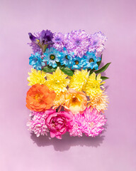 Colorful flowers on pastel light pink background. Creative nature concept. Minimalistic rainbow colors composition.