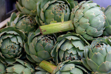 Fototapeta premium Staked of raw Artichoke in market stall with selective focus, Fresh green vegetable in the basket, The globe french artichoke is a variety of a species of thistle cultivated as a food.
