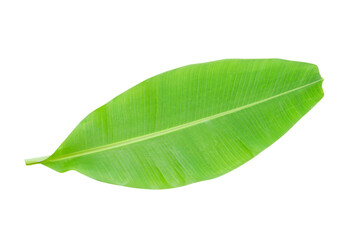 Obraz premium banana leaves on a white background