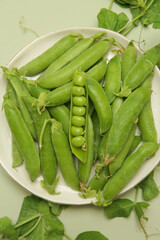 Freshly harvested organic green peas on the table