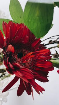 Bright Red Flower In a Vase, FLowers In a vase, Bunch Of Beautiful Flowers, Vase