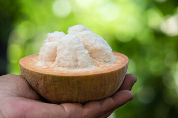 Santol or sandoricum koetjape fruits on nature background.