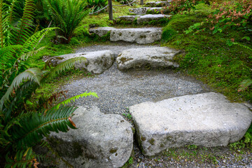 Fototapeta premium Stone steps in a peaceful Japanese garden, sword ferns lining the stairs 