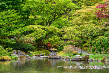 Fototapeta na wymiar Peaceful Japanese garden, including a pond and garden pagoda, on a wet spring day 