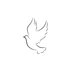 bird silhouette illustration beautiful outline design art 