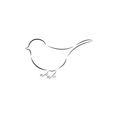 bird silhouette illustration beautiful outline design art 