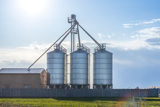 Modern Granary, Grain Drying Complex, Covered Elevators On A Farm In A Field, Agriculture. Against The Blue Sky