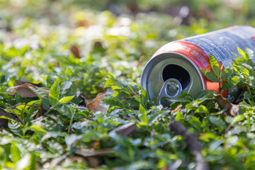 Empty soda can littering the ground