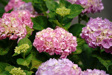 Hope you enjoy this beautiful spring season