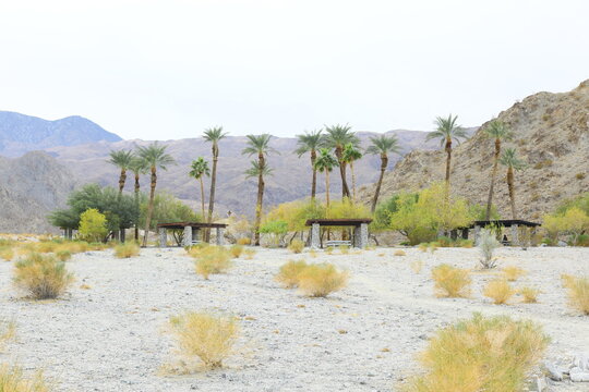 Winter Scenery At Desert Cove Oasis By La Quinta California, Trailhead Is A 114 Acre Natural Open Space