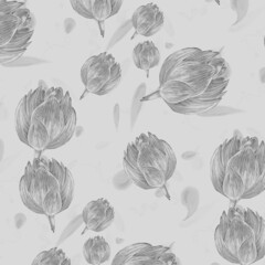 Watercolor pattern gray peony on a white background for your seamless design, hand drawn illustration