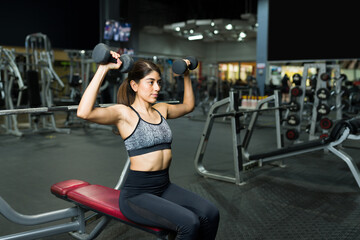Gorgeous sporty woman doing weight training