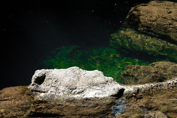 Beautiful view of river and waving cool water in a forest in summer, Travel or environment background, Slow motion	