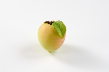 梅の実を白背景で