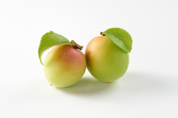 梅の実を白背景で