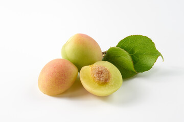 梅の実を白背景で