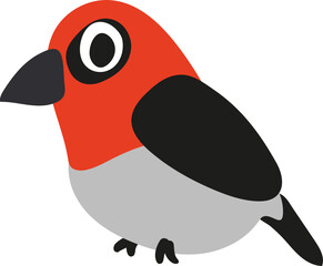 Bird character design