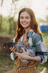 A happy young woman smiles at the camera and holds a young chicken that lays eggs for her farm in the sunlight