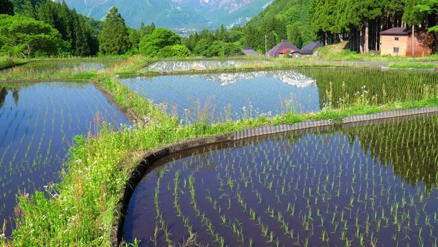 初夏の白馬村青鬼集落　北アルプスと田園風景