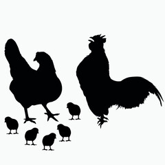 Chicken, chick, rooster vector silhouette. Farm birds silhouettes