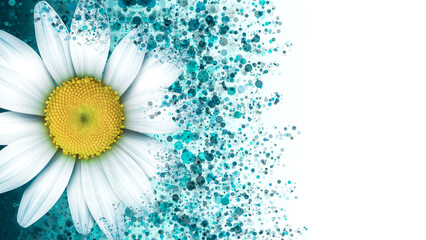 Abstract Bright Design with Chamomile