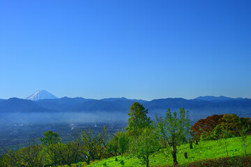 Obraz premium 笛吹川フルーツ公園 山梨県山梨市の風景