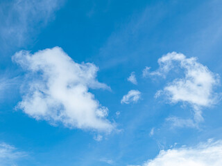 Obraz premium Wind blows, cloudy sky and sunlight. There is a light flare. Ghost is a beautiful view and background.